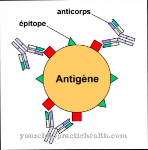 Les antigènes