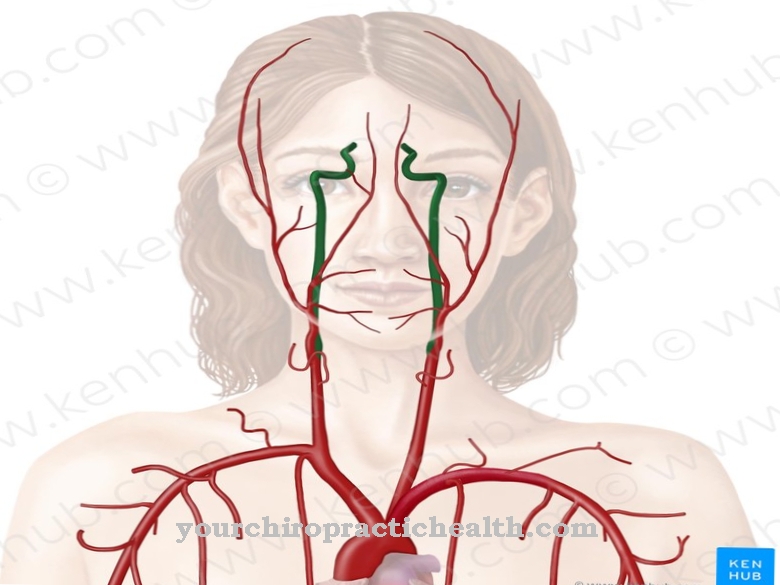 Unutarnja karotidna arterija