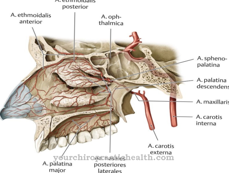 Naraščajoča palatinska arterija