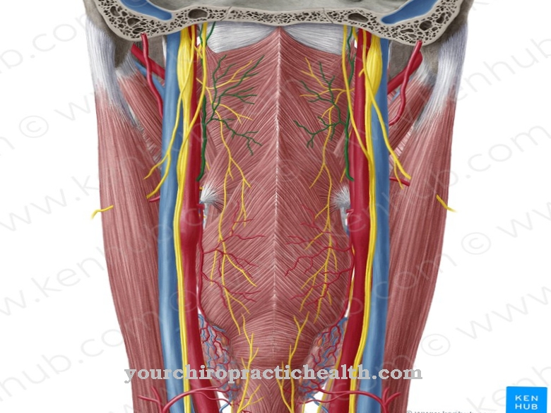 Vzhajajoča faringealna arterija