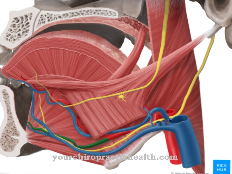 Sublingvalna arterija