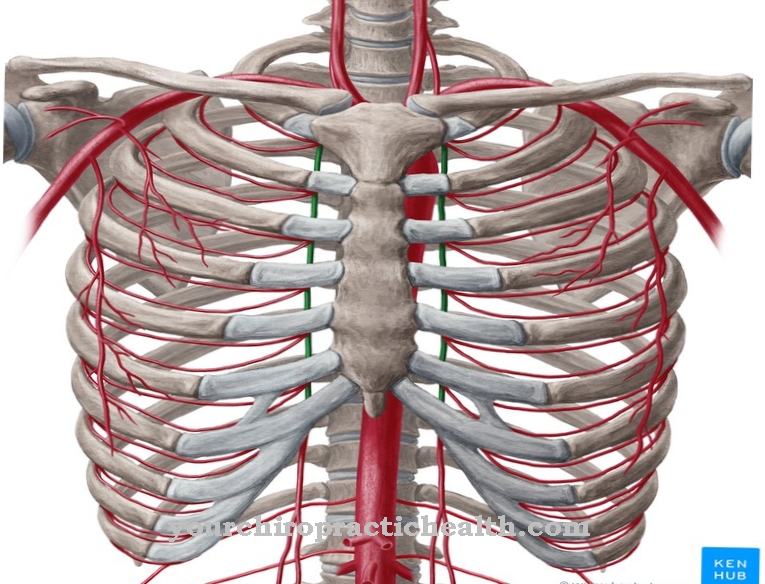 Intern thoraxarterie