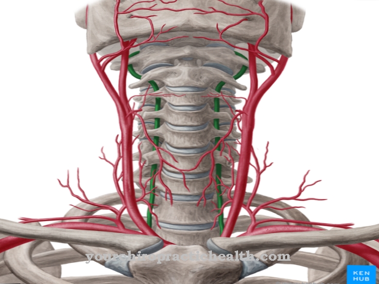 Artera vertebrala