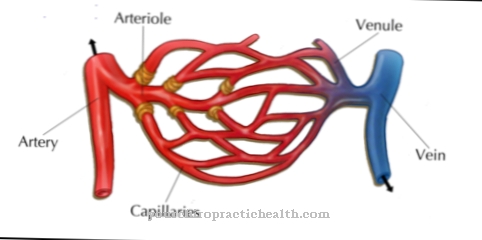 arterioler