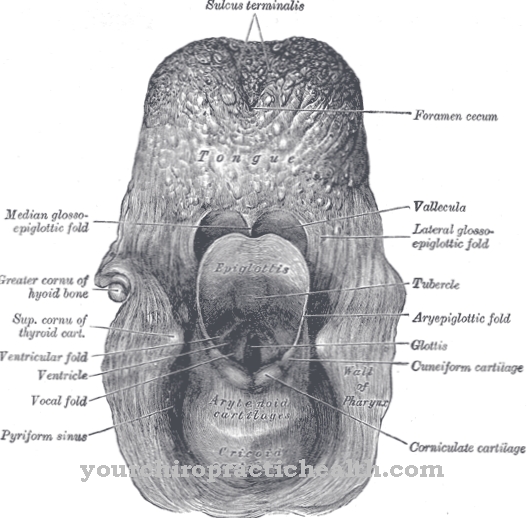 Aryepiglottic nabora