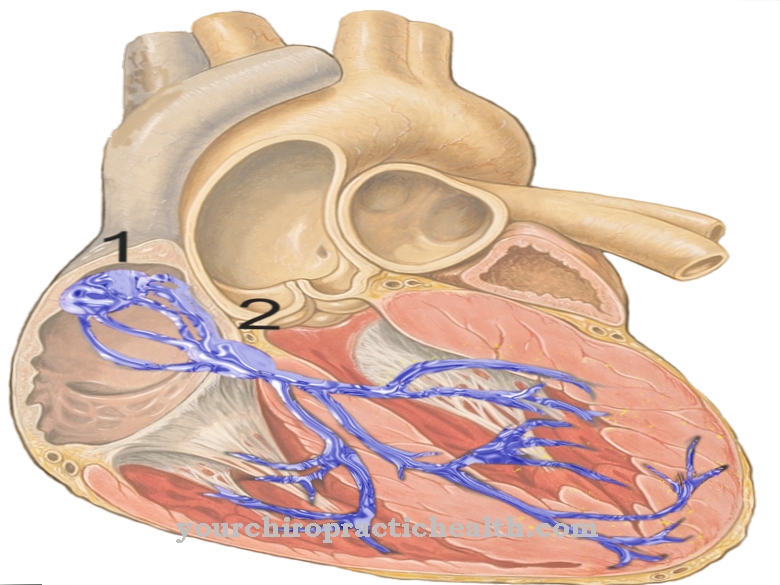Nœud auriculo-ventriculaire
