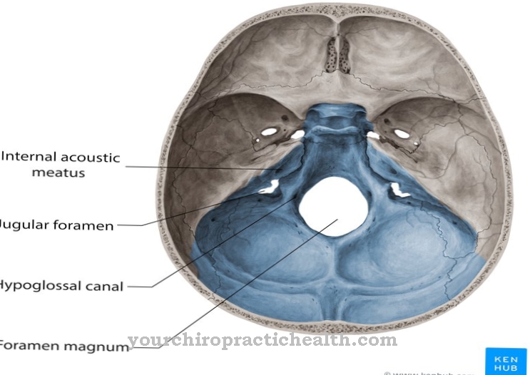 Kumerad foramenid