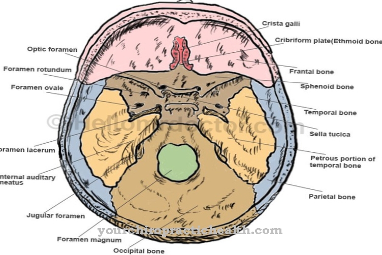 Lacerum foramen