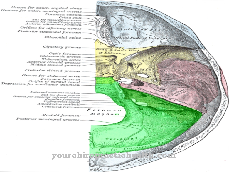 Posterior cranial fossa