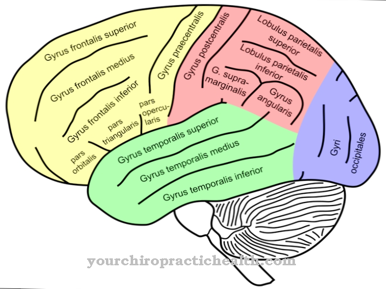 Precentralni gyrus
