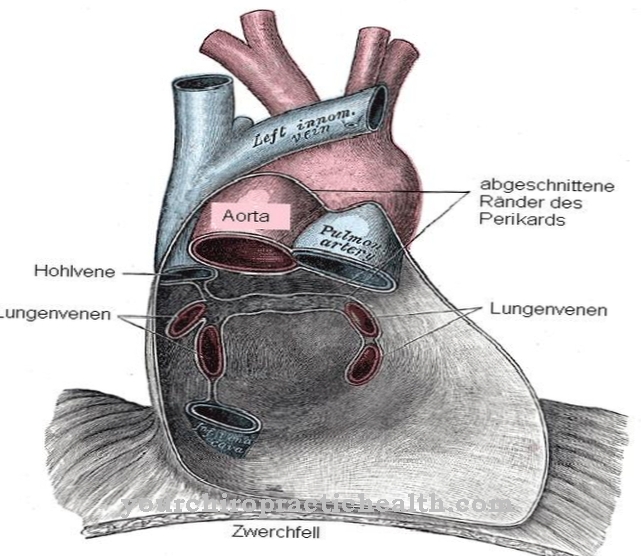 hjertesækken