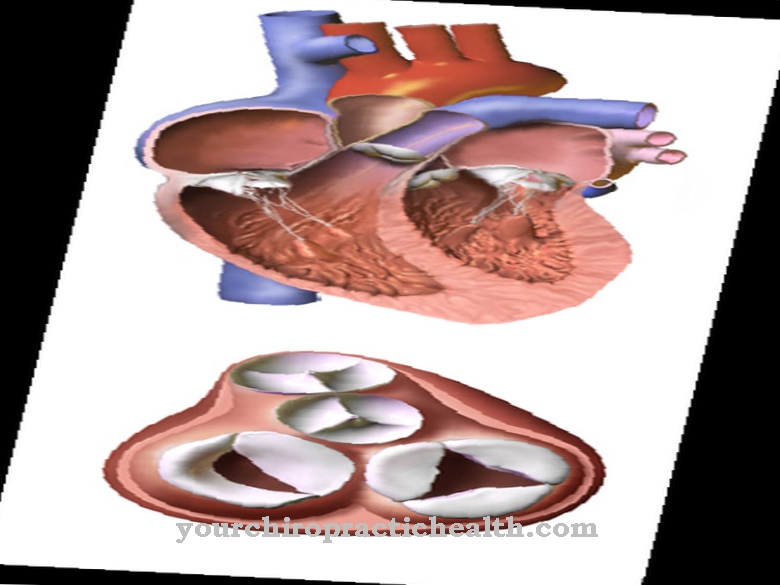 Srčani ventil