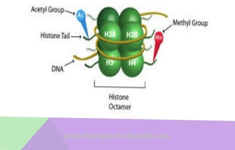 Histony