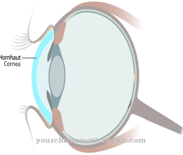 Κερατοειδής (μάτι)