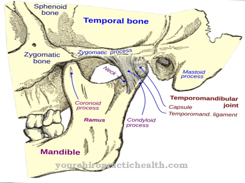 Temporomandibular locītava