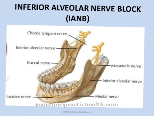 Инфериорни алвеоларни нерв