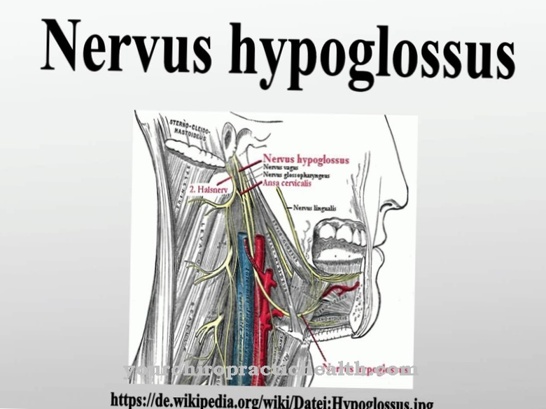 Hipoglossalinis nervas