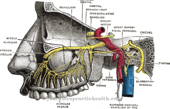 Maxillary nerve