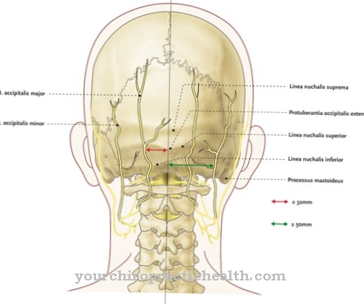 Lesser occipital nerve