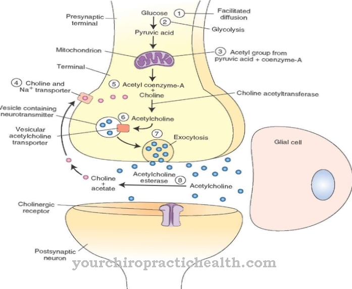neurotransmittere