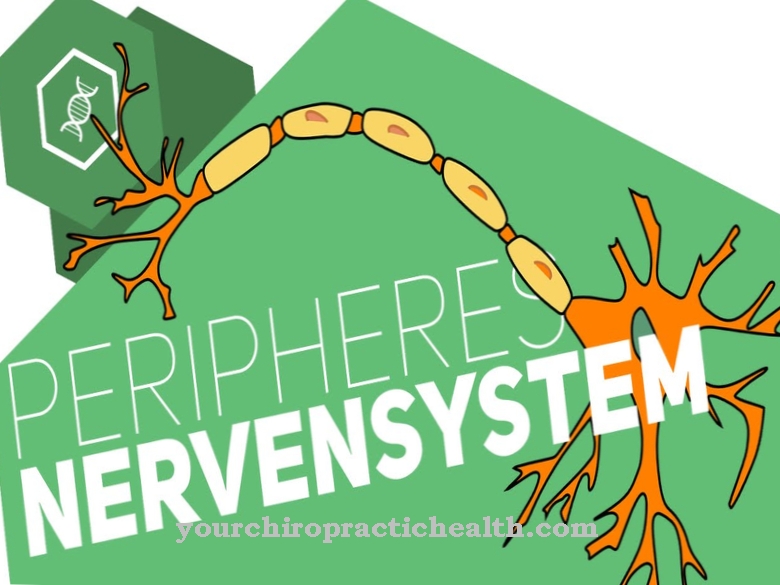 Perifere nervesystem