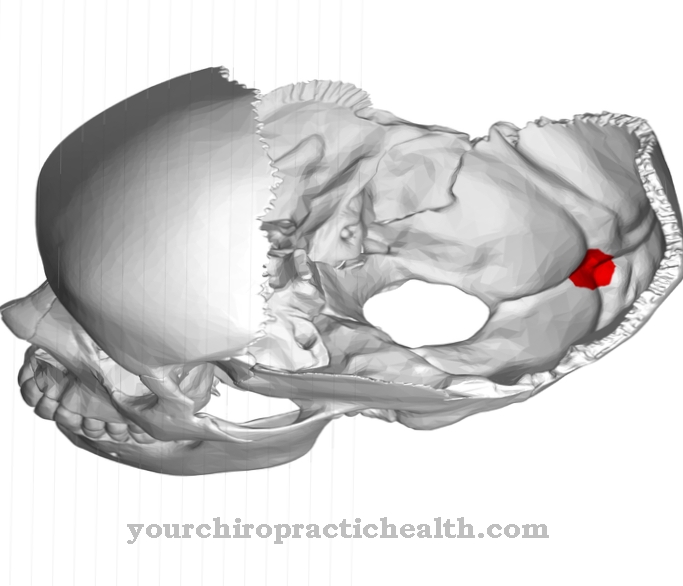 Protuberantia occipitalis interna