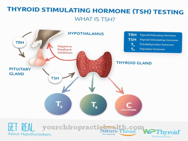 Тиреоидни хормони