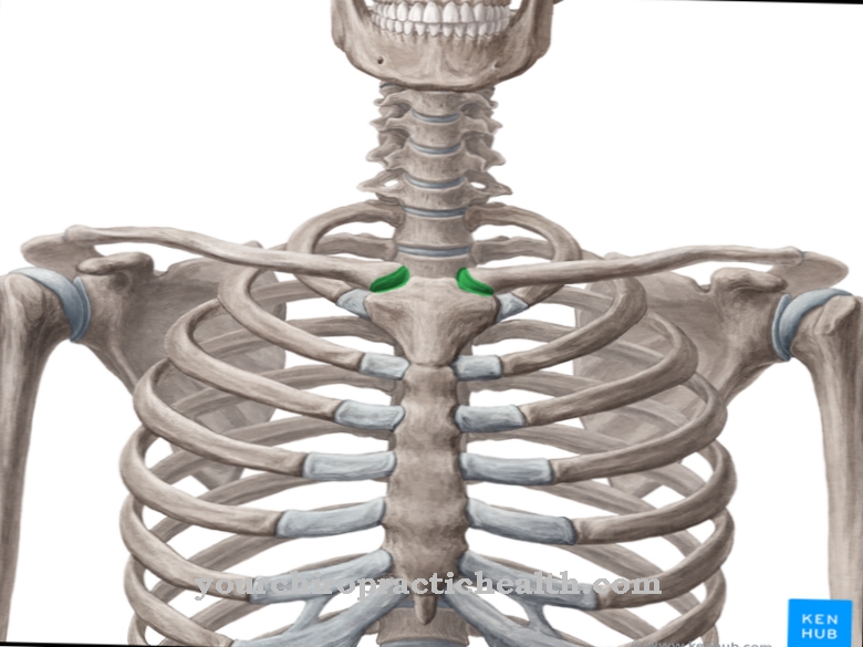 Sternoclavicular joint