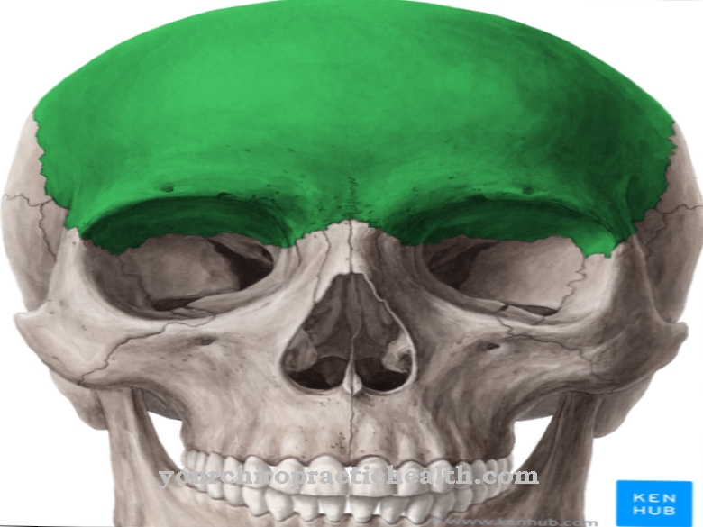 Frontal bone