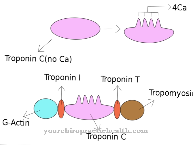тропонин