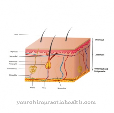 Subcutaneous tissue