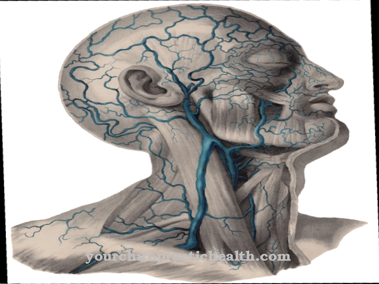 Zunanja jugularna vena