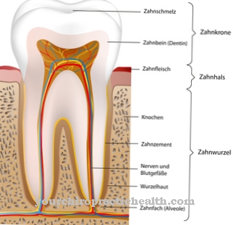 hàm răng