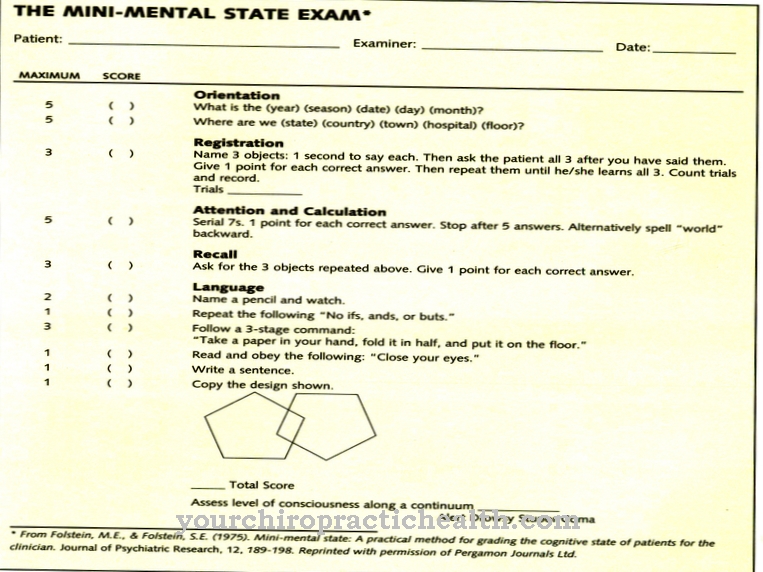 Mini Mental Status Test