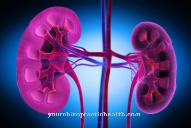 Kidney scintigraphy