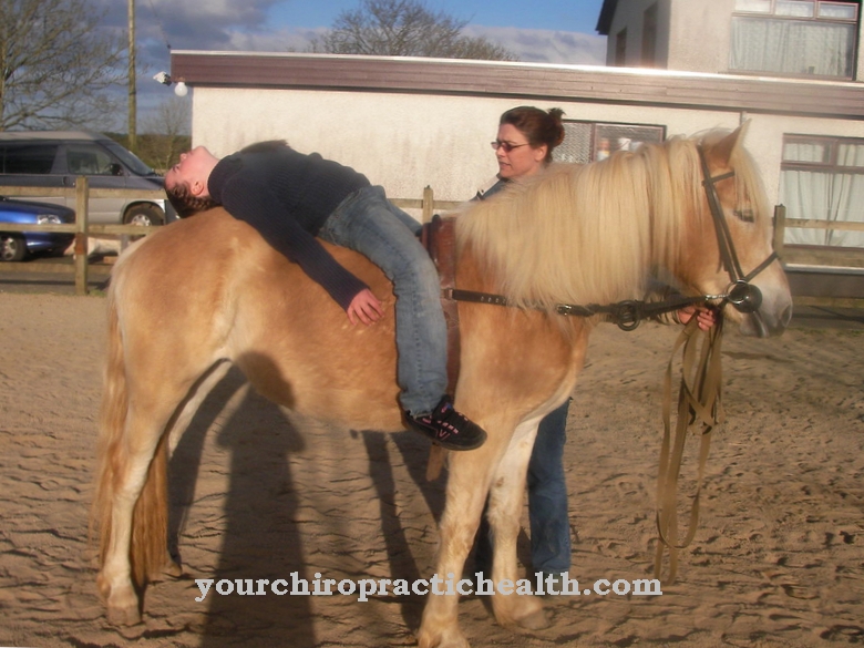 therapeutical riding
