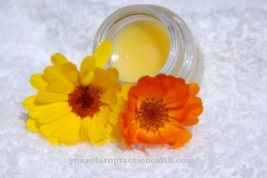 Home remedies for dry, chapped lips