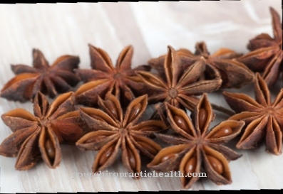 Real star anise