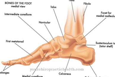 Outer ankle fracture (distal fibular fracture)
