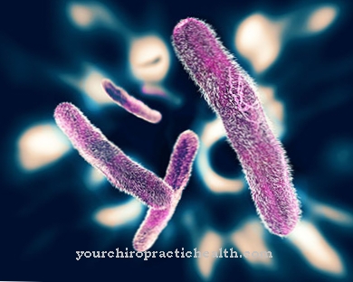 Bakterémie