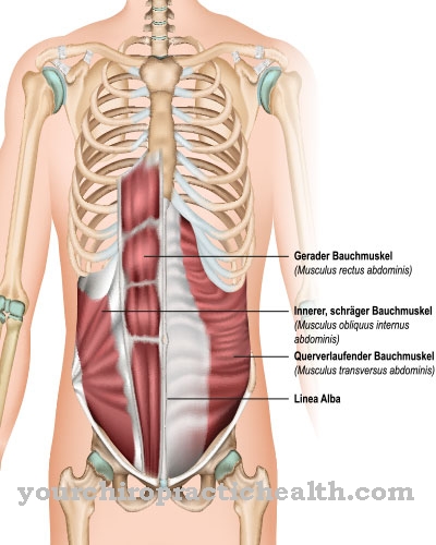 Naprezanje mišića trbuha