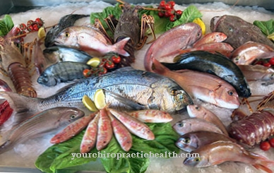 Ciguatera fish poisoning
