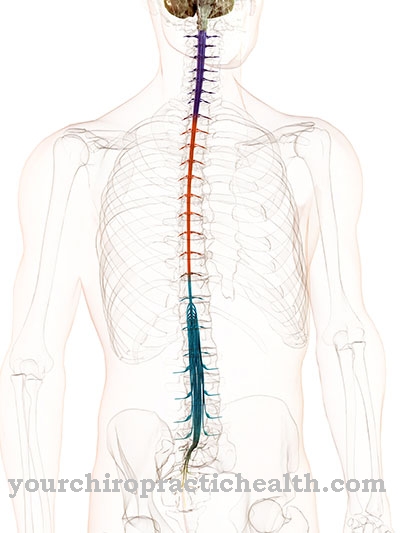 Spinal commotio