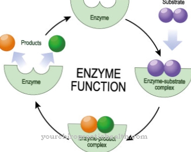 Enzyme defect