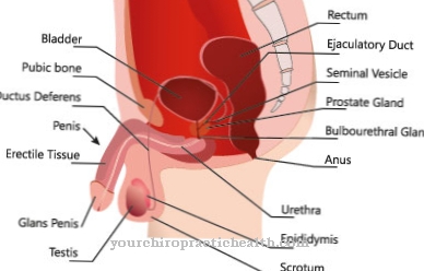 Urethral strengering