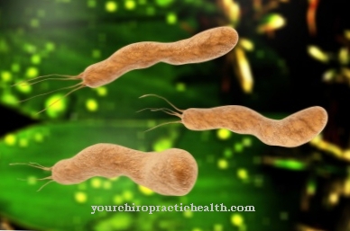 Helicobacter pylori infection
