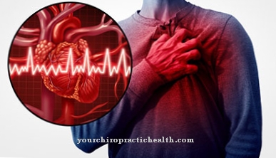 Širdies liga
