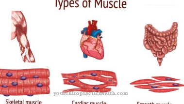 Cardiac muscle hypertrophy