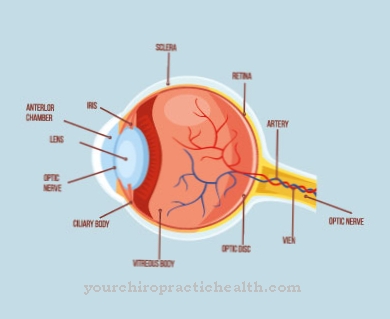 Надморска ретинопатия