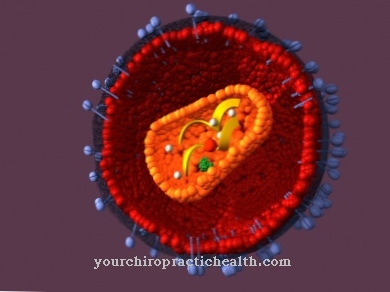 Virus human immunodeficiency